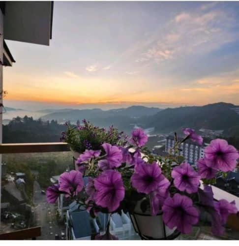 Kensington Sunrise Sg, Palas Horizon,Kea Farm Бринчанг Екстериор снимка