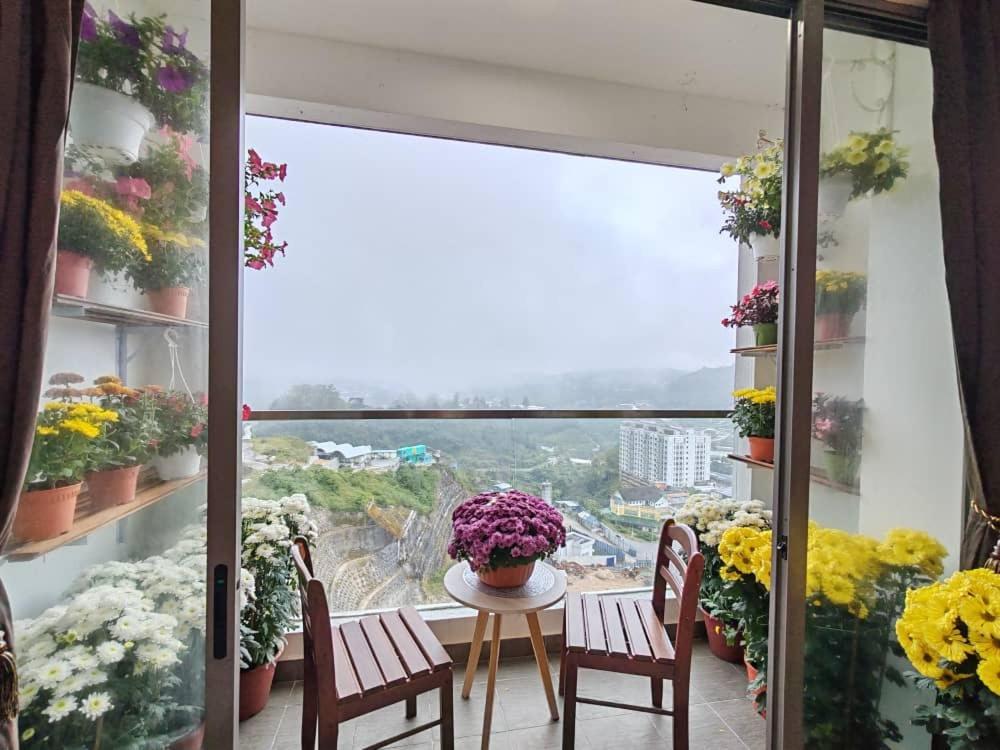 Kensington Sunrise Sg, Palas Horizon,Kea Farm Бринчанг Екстериор снимка