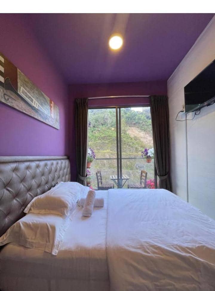 Kensington Sunrise Sg, Palas Horizon,Kea Farm Бринчанг Екстериор снимка