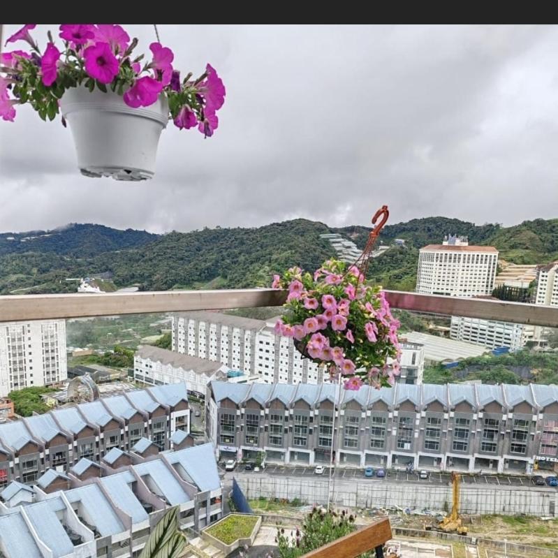 Kensington Sunrise Sg, Palas Horizon,Kea Farm Бринчанг Екстериор снимка
