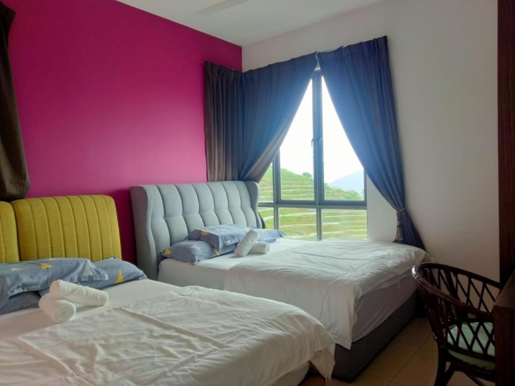 Kensington Sunrise Sg, Palas Horizon,Kea Farm Бринчанг Екстериор снимка