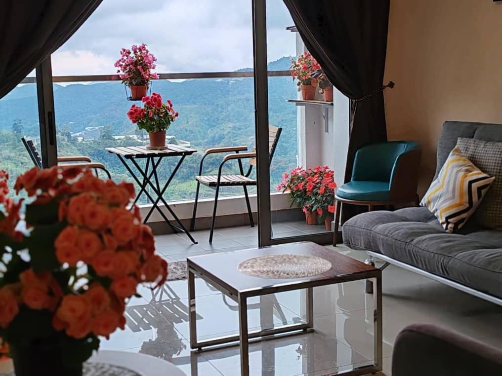Kensington Sunrise Sg, Palas Horizon,Kea Farm Бринчанг Екстериор снимка